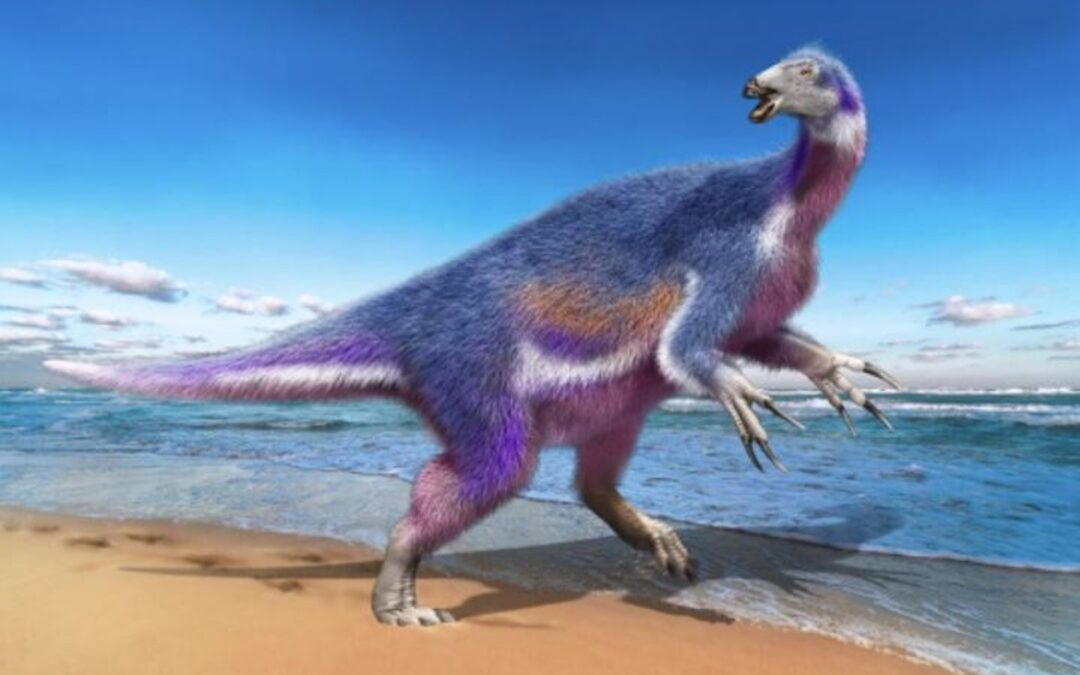 Descubren nueva especie de Dinosaurio en Japón