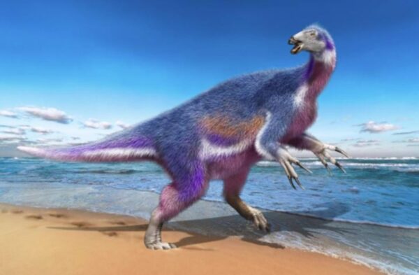 Descubren nueva especie de Dinosaurio en Japón