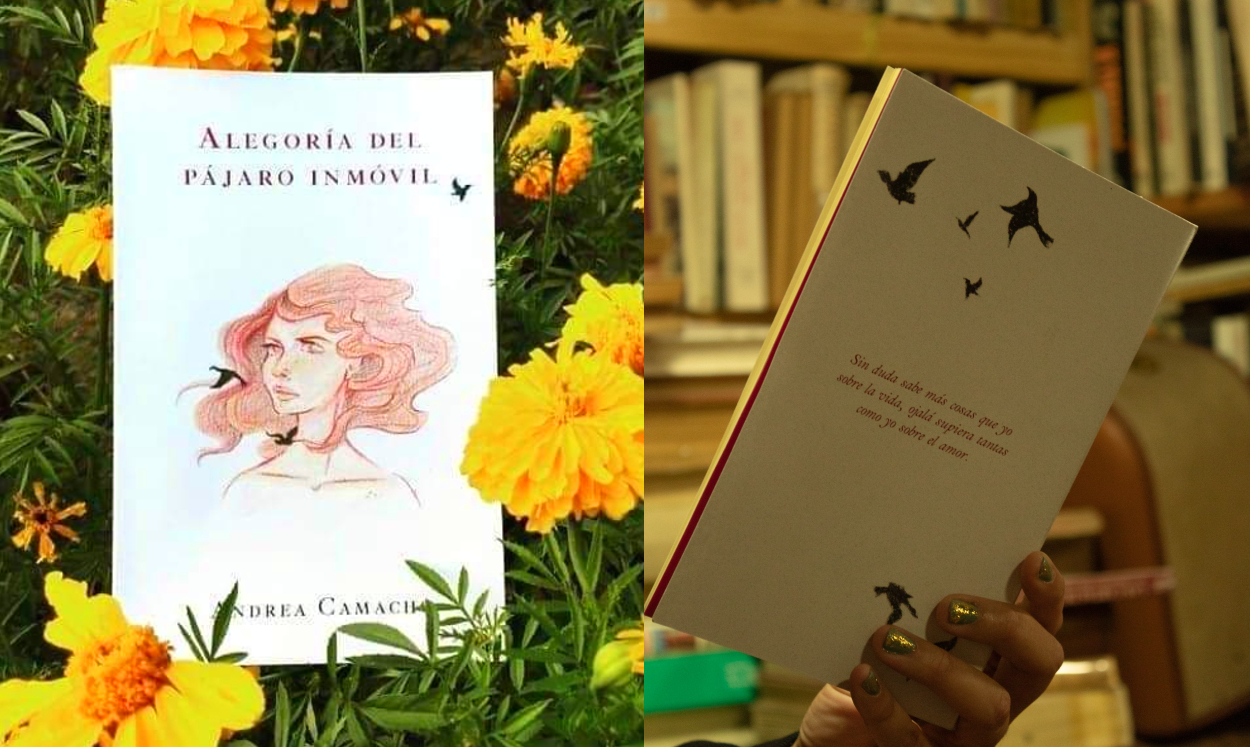 Alegoría del pájaro inmóvil: una historia de Andrea Camacho