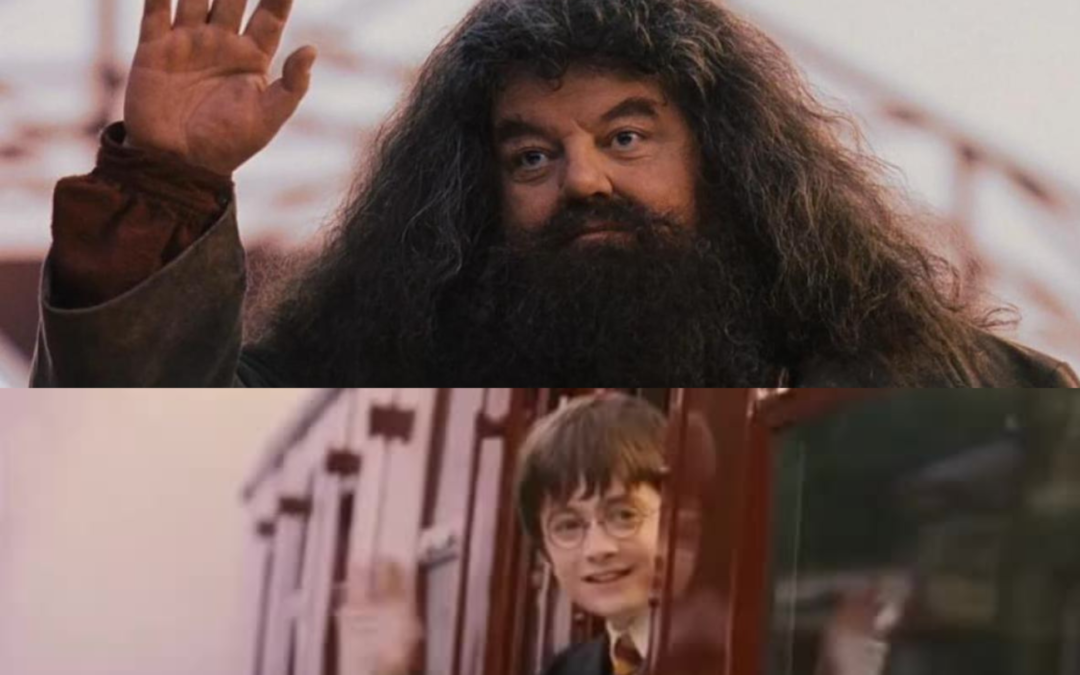 «Tal vez yo ya no esté aquí pero Hagrid sí» Muere el actor Robbie Coltrane