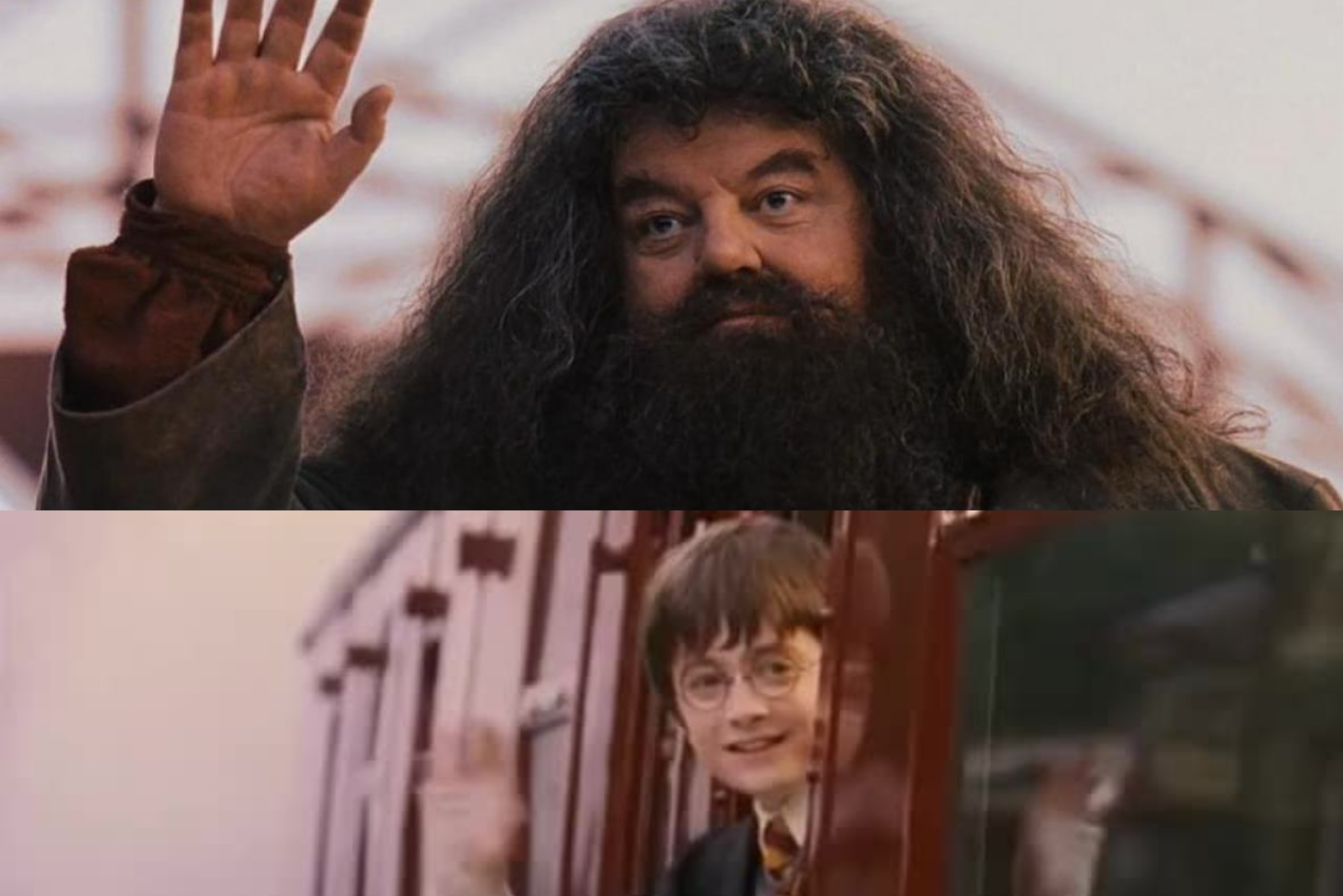 "Tal vez yo ya no este aquí pero Hagrid si" Muere el actor Robbie Coltrane