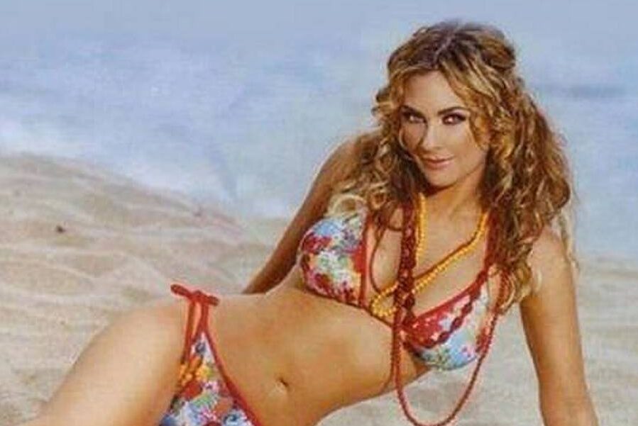 Aracely Arámbula