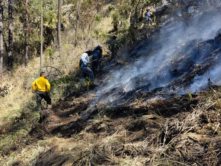 Servicios de emergencias controlan Incendio forestal en Tlaxco, Tlaxcala