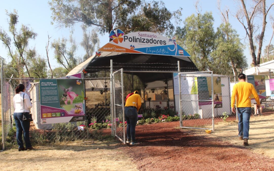 Azcapotzalco inaugura Mariposario en el Parque Tezozómoc