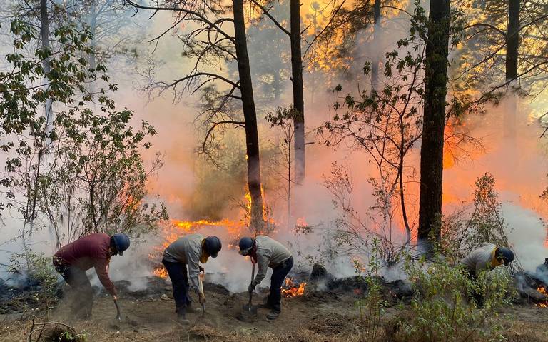  84 hectáreas fueron afectadas ante incendio forestal en Chiautempan