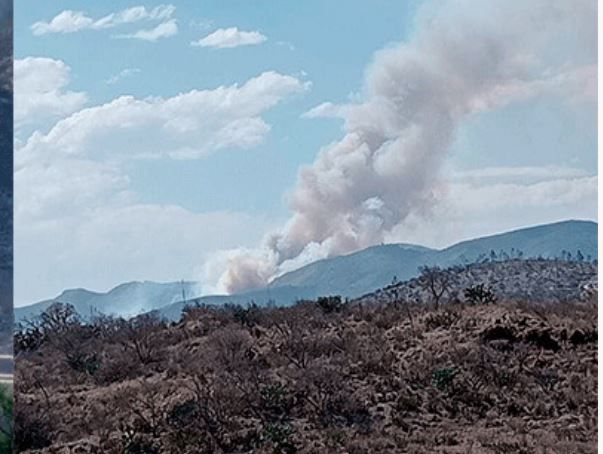Se reaviva incendio forestal en la Sierra Gorda de Hidalgo