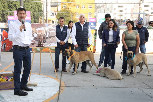 «Ayuntamiento de Puebla rescato a 11 Lomitos»