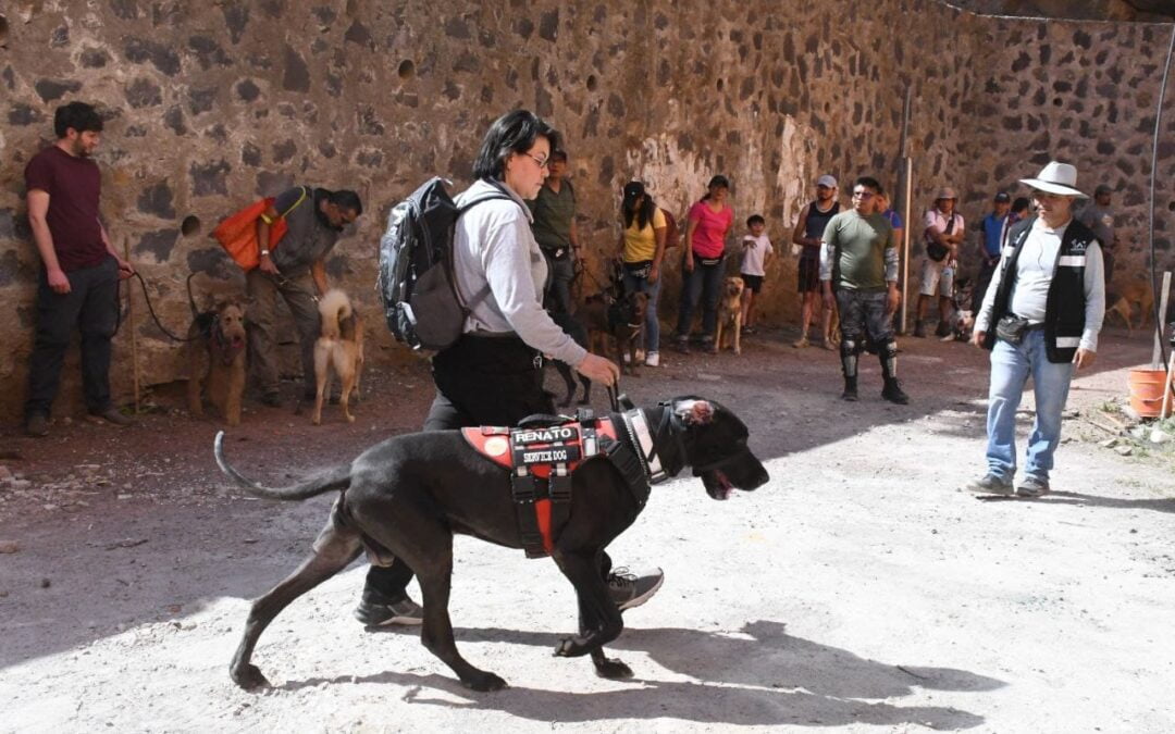 Se inicia el curso de «Rescate para perros» en Tlalpan