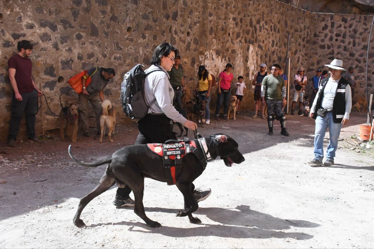 Se inicia el curso de "Rescate para perros" en Tlalpan. Foto: Alcaldía de Tlalpan