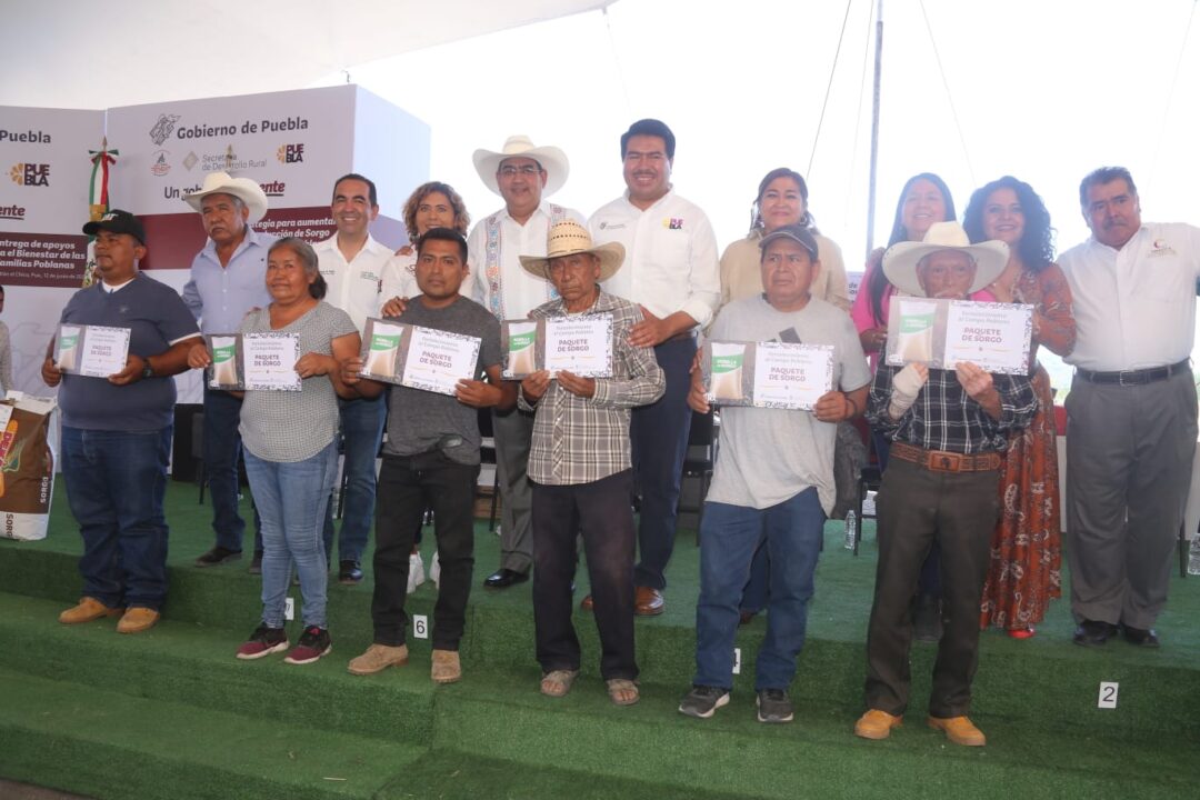 Con entrega de sorgo, Sergio Salomón garantiza seguridad alimentaria en la Mixteca 4