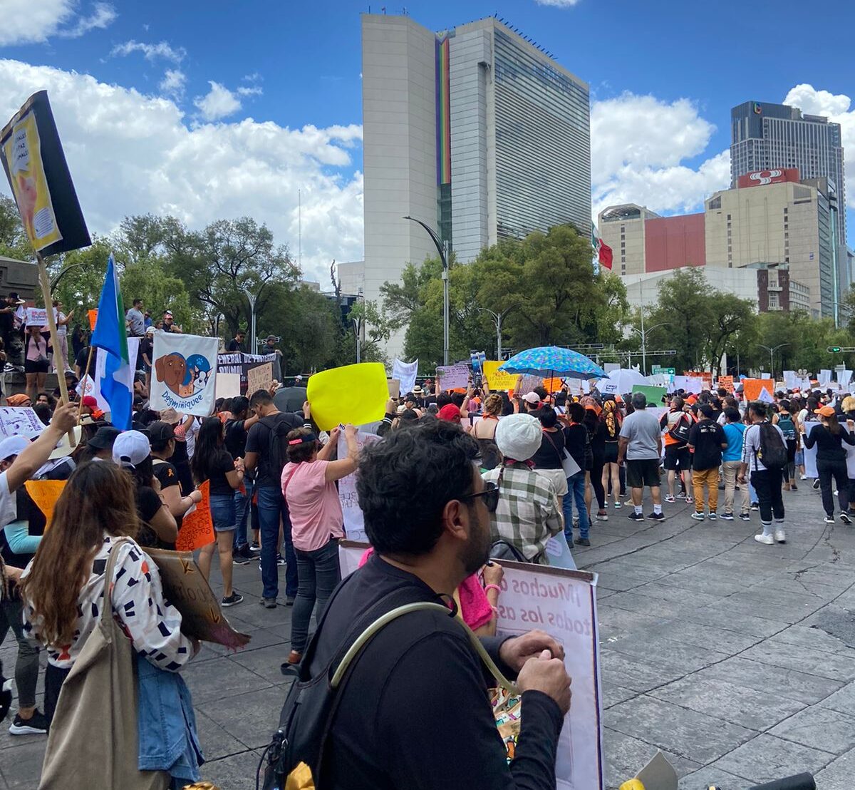 Todos unidos en Reforma en contra del maltrato animal. Foto: Diana Sánchez