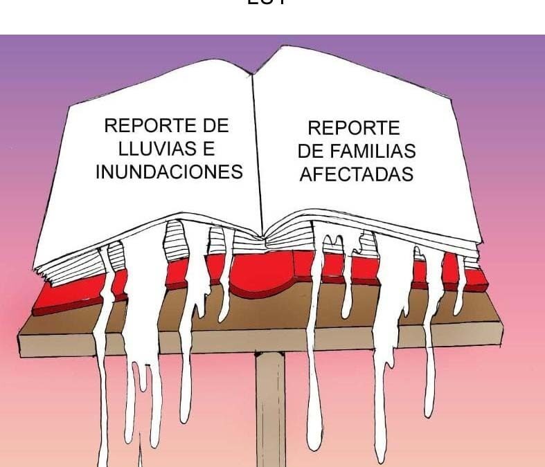 REPORTES