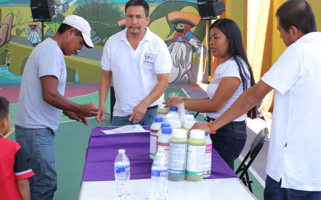 Beneficia Sedagro Morelos a productores de cacahuate de Temoac