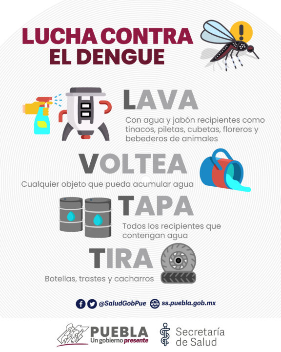 Reporta Salud de Puebla 14 hospitalizados por dengue