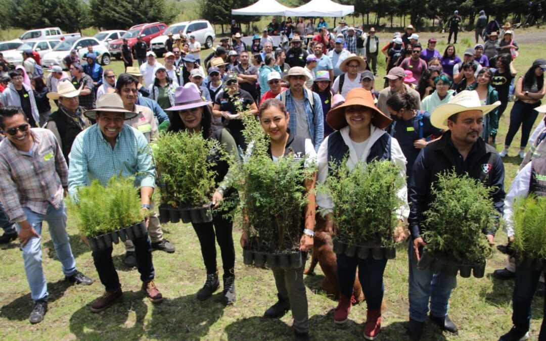 Inicia reforestación en Tlalpan con la plantación de más de 1500 árboles