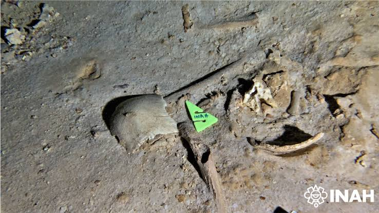 El INAH descubre una osamenta humana en la Zona Arqueológica El Tigre