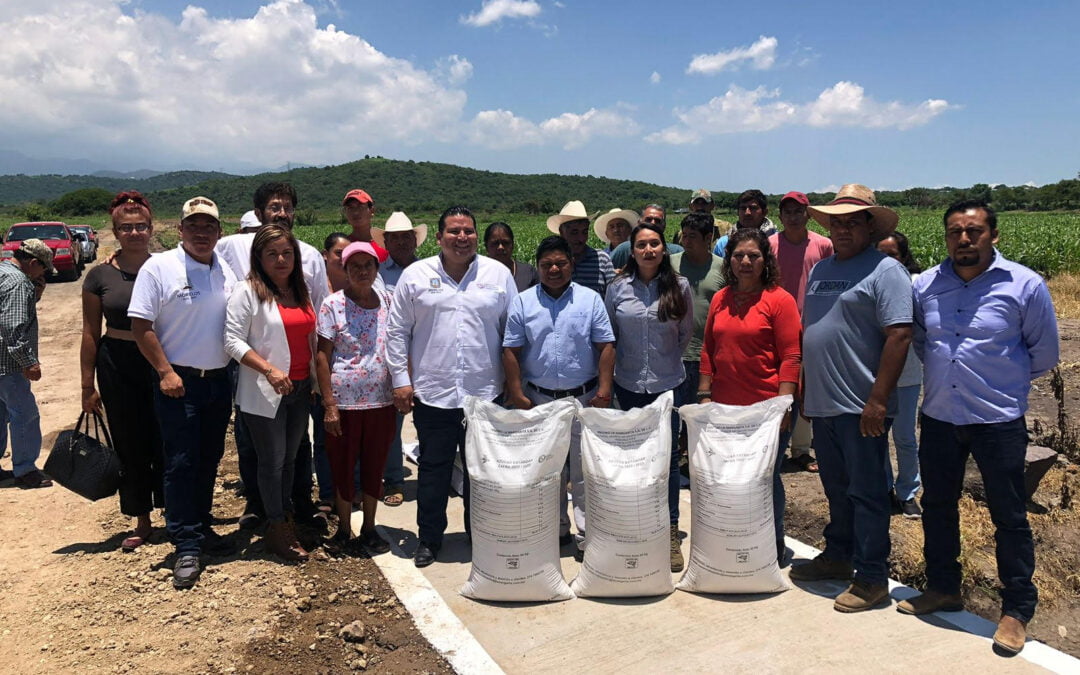 Gobierno de Morelos apoya a productores apícolas de Zacualpan de Amilpas