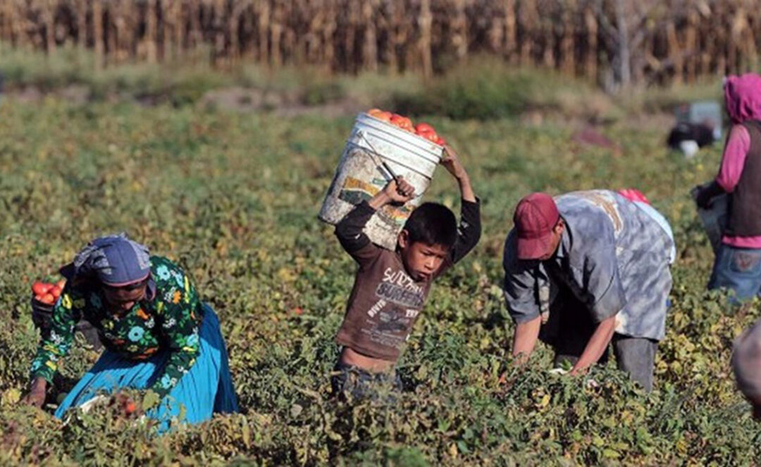 INEGI advierte que aumentó el trabajo infantil en México