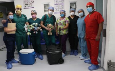 Realiza Hospital “Dr. José G. Parres” dos transplantes de órganos