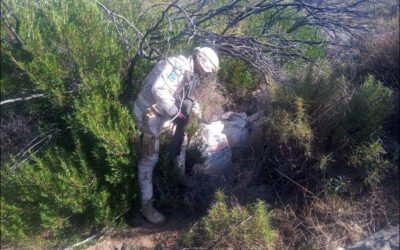 Ejército Mexicano asegura posible metanfetamina en Baja California
