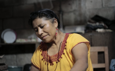 El cine mexicano contemporáneo dará una vuelta por la Cámara de Diputados