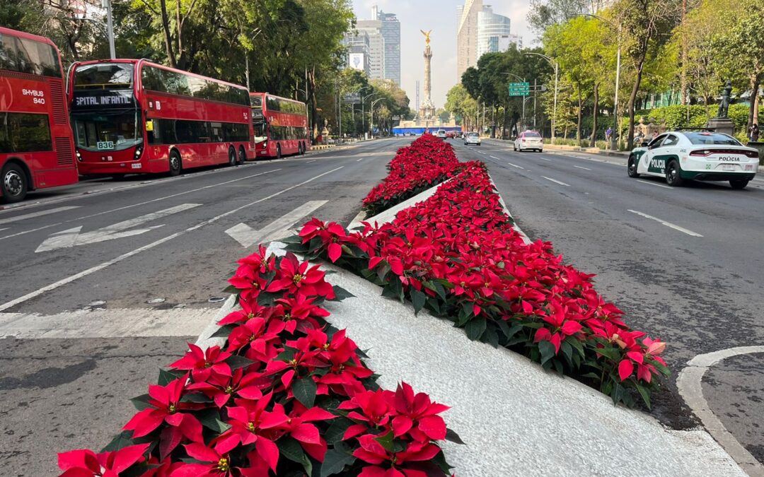 Festival de las Flores de Nochebuena 2023 llega a Paseo de la Reforma