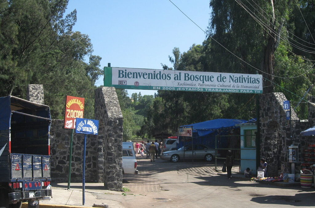 Pide PVEM dar con asesinos de perros en Xochimilco