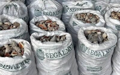 Hong Kong asegura más de una tonelada de droga con logos de Segalmex