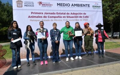 Gobierno del Edoméx realiza jornada de adopción canina y felina