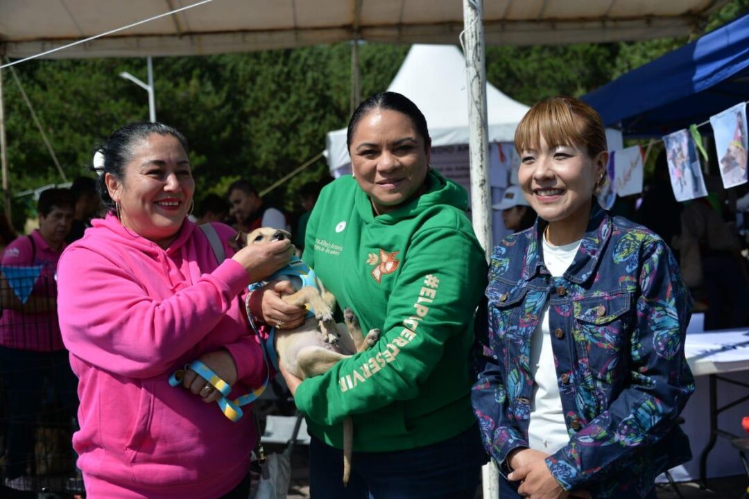 Gobierno del Edoméx realiza jornada de adopción canina y felina
