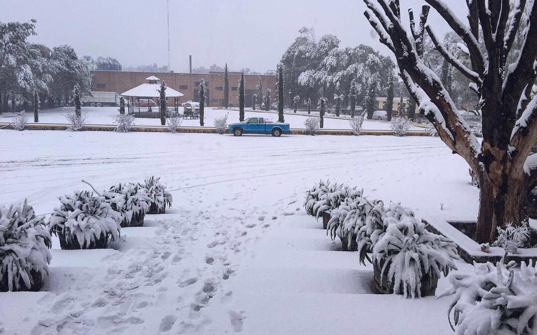 ¿Nieve en Jalisco? Te decimos dónde encontrarla