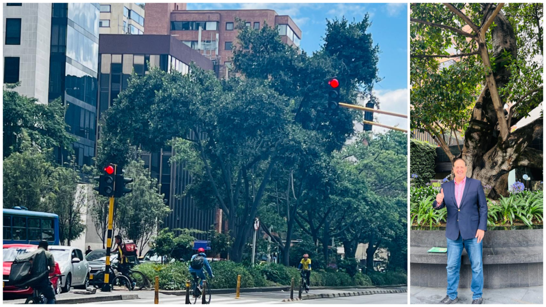 Bogotá: ciudad sostenible de América Latina