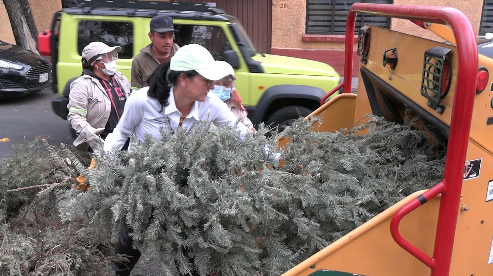 Alcaldía ÁO recicló más de 5 mil árboles navideños