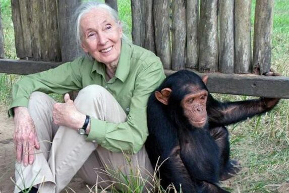 Jane Goodall: 90 años de aprendizajes sostenibles