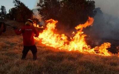 Conafor reporta 95 incendios forestales en México