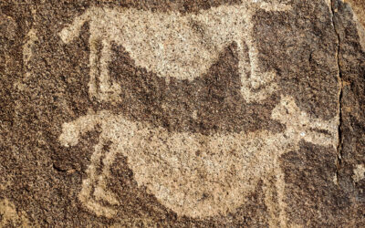 Explora el Enigma de Mascota: Donde los Petroglifos Cuentan Antiguas Historias en un Pueblo Mágico