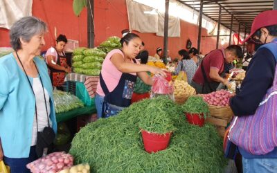En Xochimilco, romeritos: Tradición y sabor en Semana Santa
