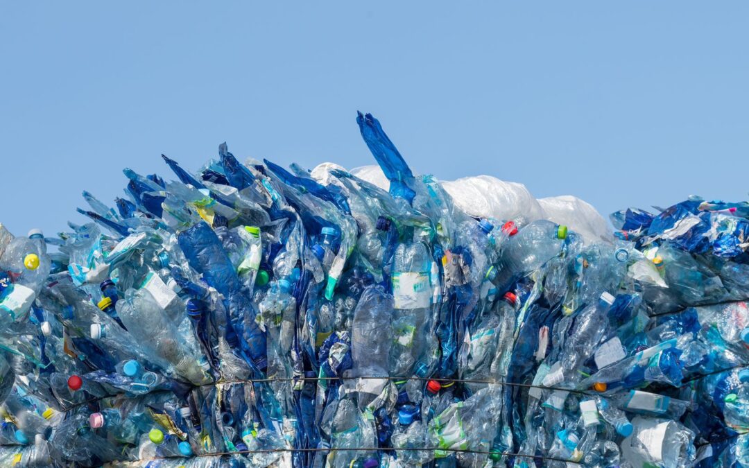 Aumenta recuperación y reciclaje de envases de PET en México: ECOCE