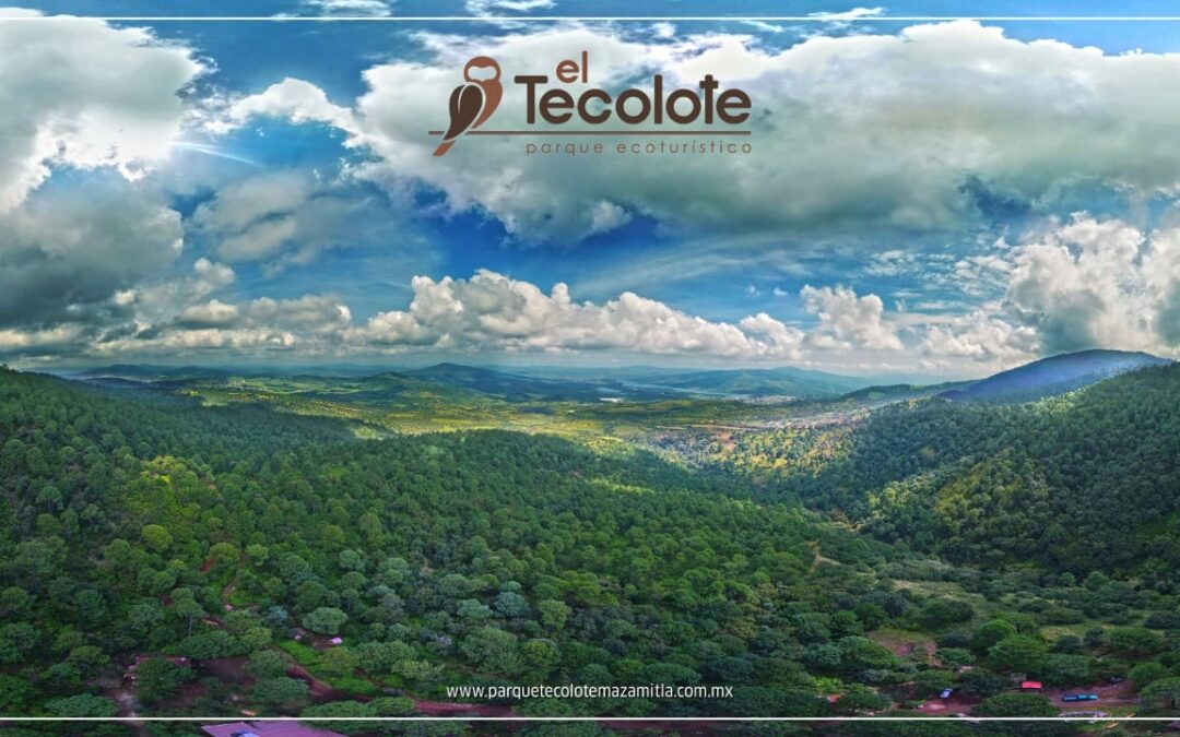 Parque El Tecolote, un santuario ecoturístico lleno de vida
