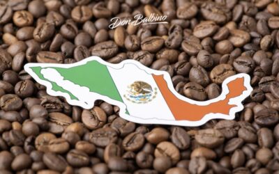 Jalisco tiene café de altura que todos deben probar