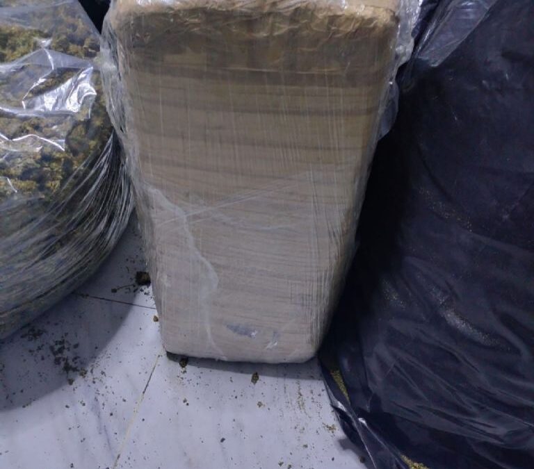 Decomisan 350 kilos de marihuana en la alcaldía Venustiano Carranza