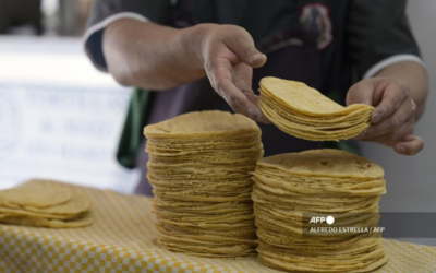 Tortillerías de CDMX avanzan hacia la digitalización financiera
