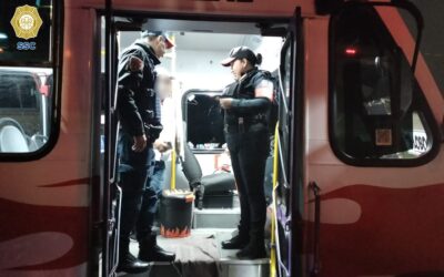 Autoridades rescatan a víbora que viajaba en camión de pasajeros en Pantitlán