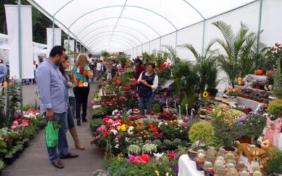 Feria de las Flores, preserva las tradiciones e impulsa la economía de ÁO: Lía Limón