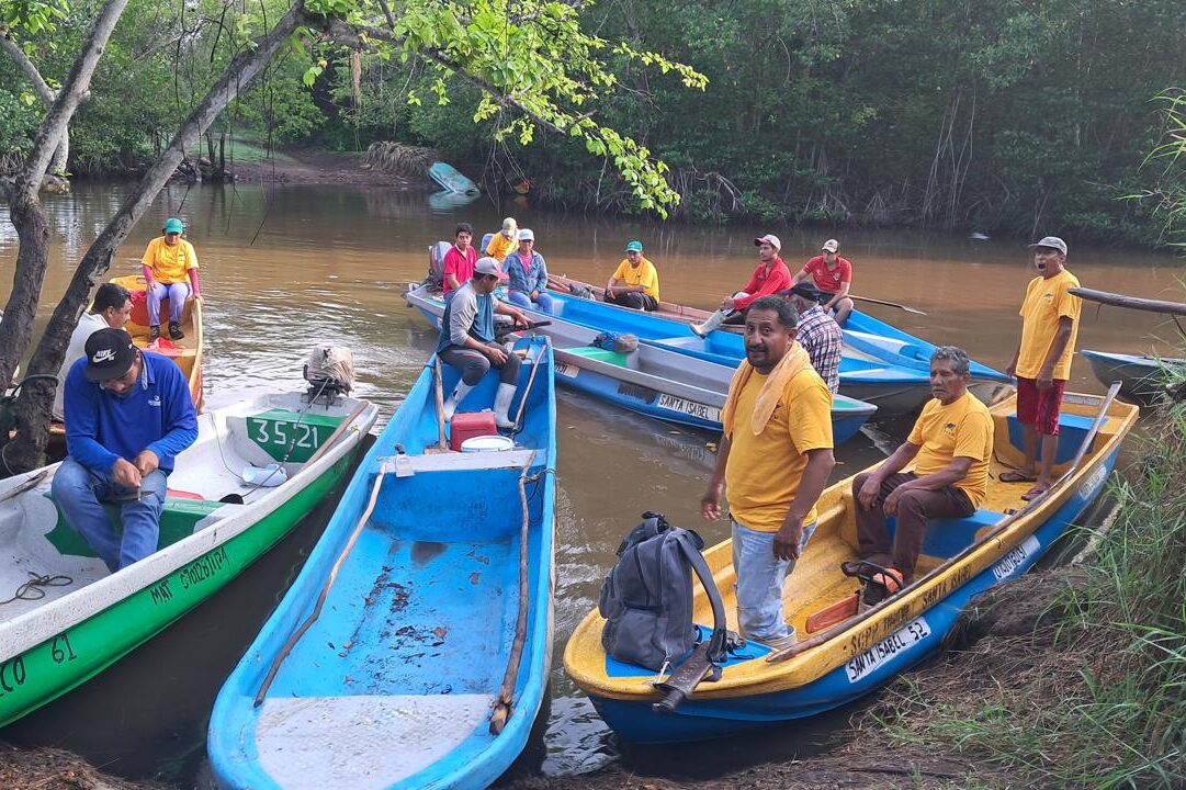 Compensación Ambiental: Rompiendo Paradigmas