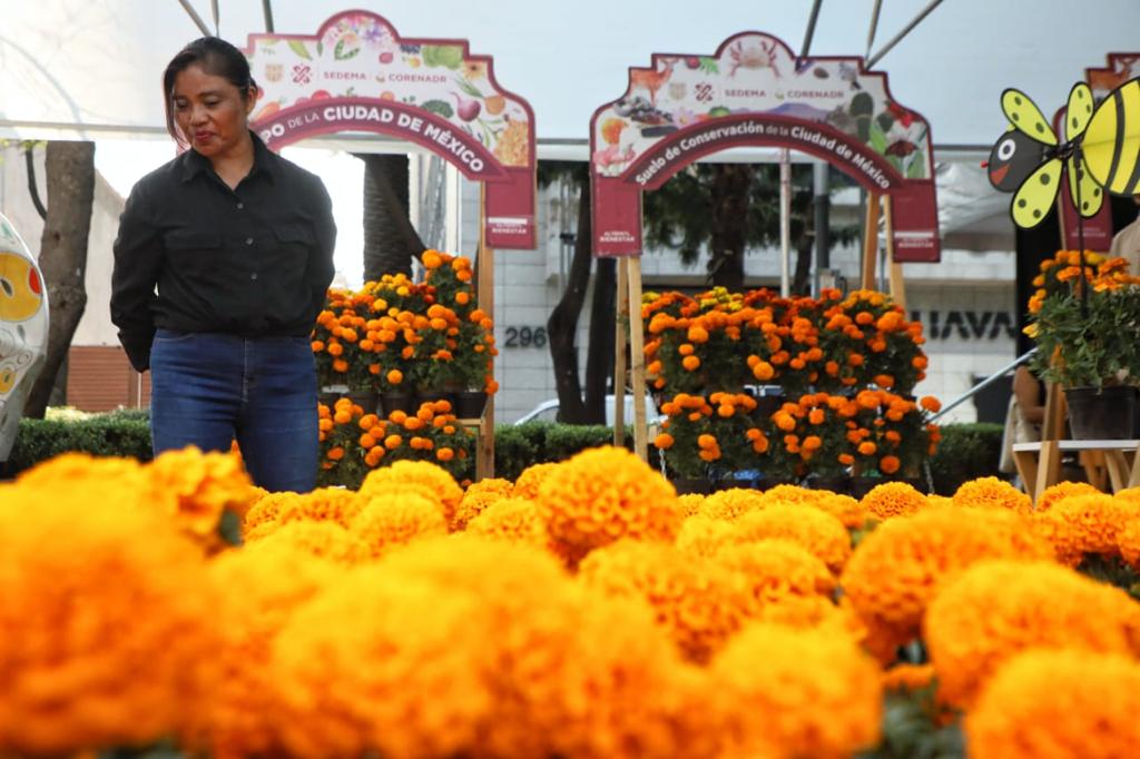 Feria de las Flores de Verano