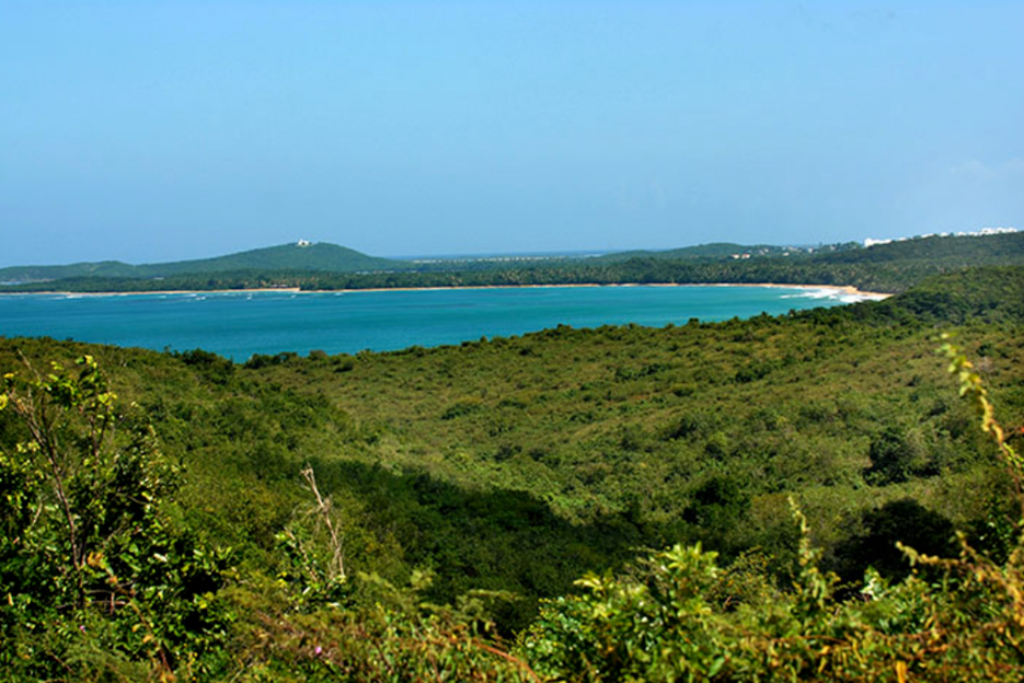 Avances sostenibles en el caribe e islas a favor del medio ambiente