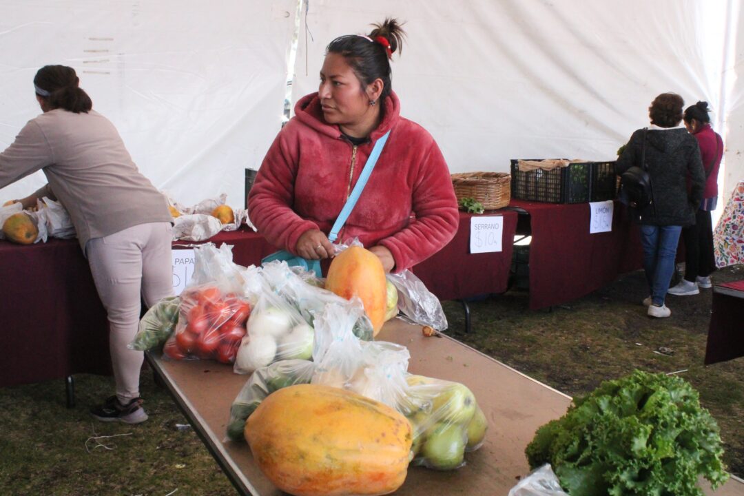 Gobierno de la CDMX instala Feria del Bienestar en Topilejo