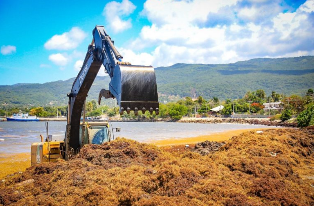 Avances sostenibles en el caribe e islas a favor del medio ambiente